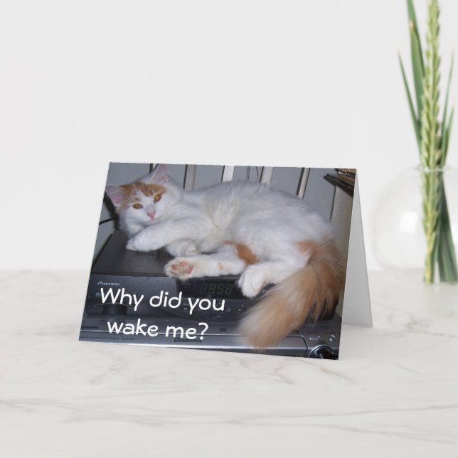 TURKISH VAN *I WAS GETTING UP* WHY DID YOU WAKE ME CARD (Front)