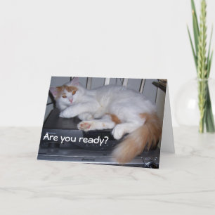 TURKISH VAN IS READY TO CELEBRATE YOUR BIRTHDAY CARD