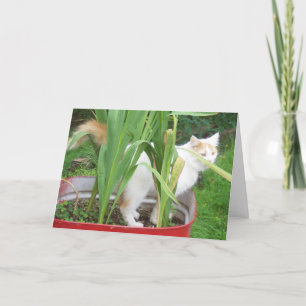 TURKISH VAN SAYS **HAPPY AUGUST BIRTHDAY** CARD