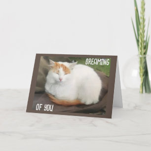 TURKISH VAN SAYS "HAPPY GRADUATION DAY" TO YOU! CARD