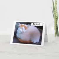 TURKISH VAN SAYS TIPS ON HOW TO ENJOY RETIREMENT