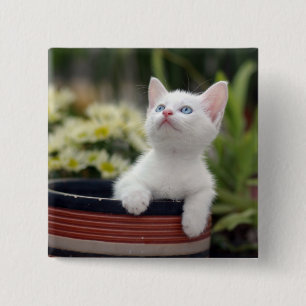 Turkish White Kitten 15 Cm Square Badge