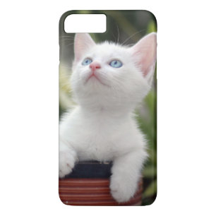 Turkish White Kitten Case-Mate iPhone Case