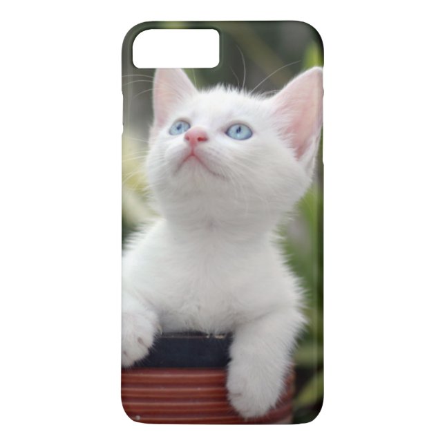 Turkish White Kitten Case-Mate iPhone Case (Back)