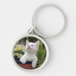 Turkish White Kitten Key Ring