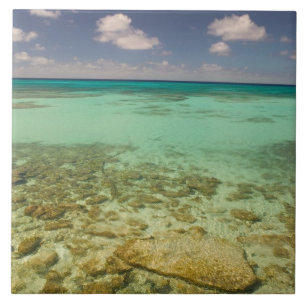 Turks and Caicos, Grand Turk Island, Cockburn 2 Tile