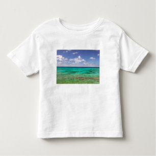 Turks and Caicos, Grand Turk Island, Cockburn 3 Toddler T-Shirt