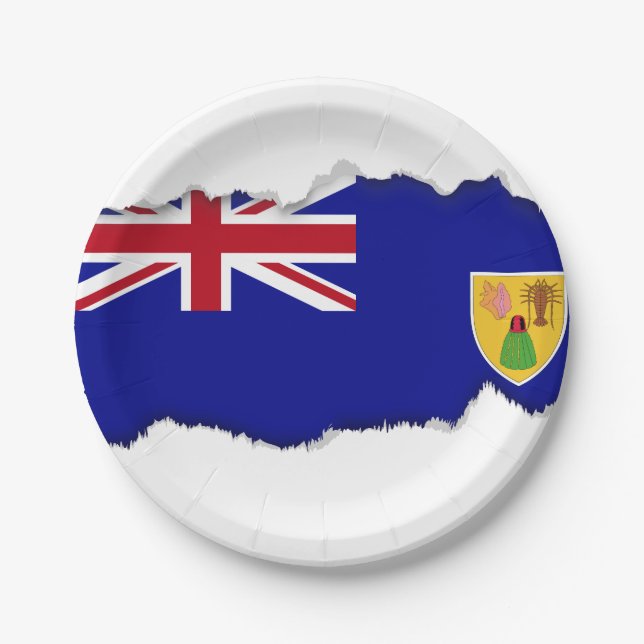 Turks and Caicos Islands Flag Paper Plate (Front)