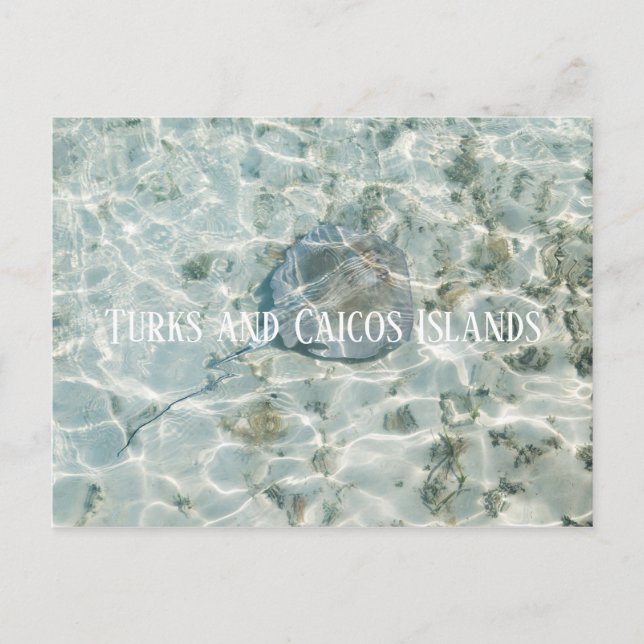 Turks and Caicos Islands Postcard (Front)