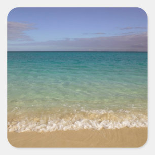 Turks and Caicos, Providenciales Island, Grace 2 Square Sticker