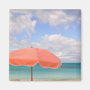 Turks and Caicos, Providenciales Island, Grace Magnet