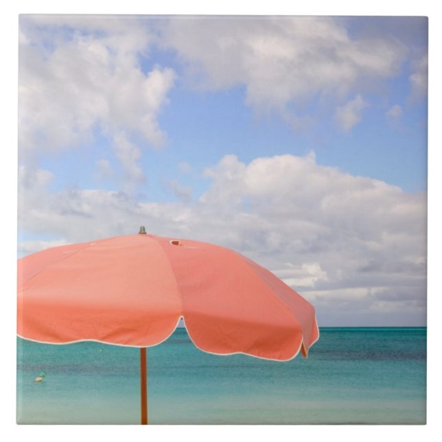 Turks and Caicos, Providenciales Island, Grace Tile (Front)