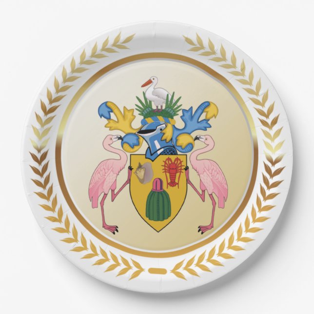 Turks & Caicos Coat Of Arms Paper Plate (Front)