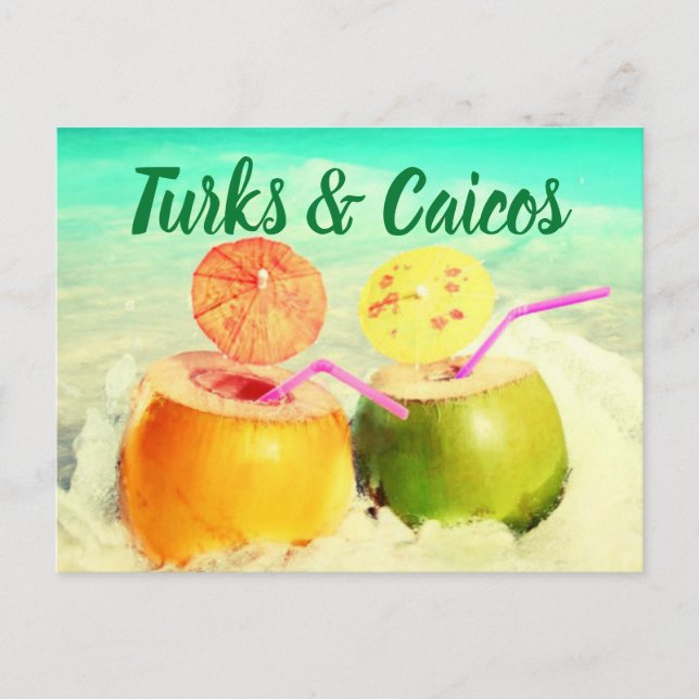 Turks & Caicos coconuts Postcard (Front)