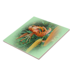 Turk's Cap Lily Wildflower - Facing Left Tile