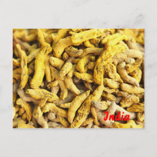 Turmeric roots postcard