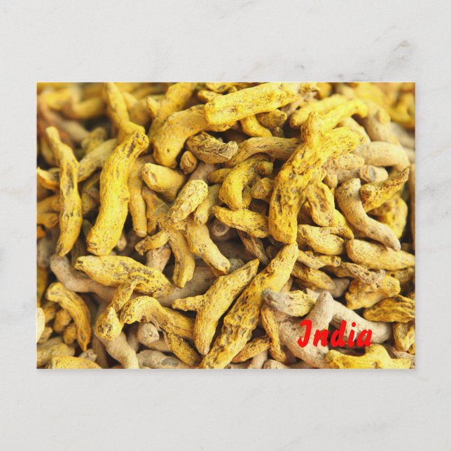 Turmeric roots postcard (Front)