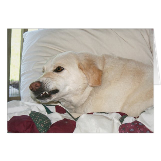 Turn off that alarm! (Front Horizontal)
