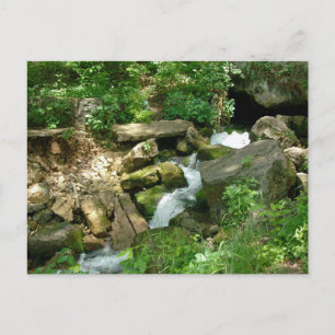 Turner Springs Postcard