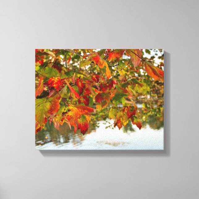 Turning Leaves Canvas Print (Front)