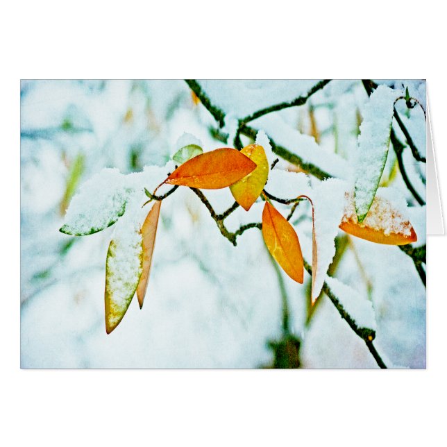 Turning the Page (Front Horizontal)