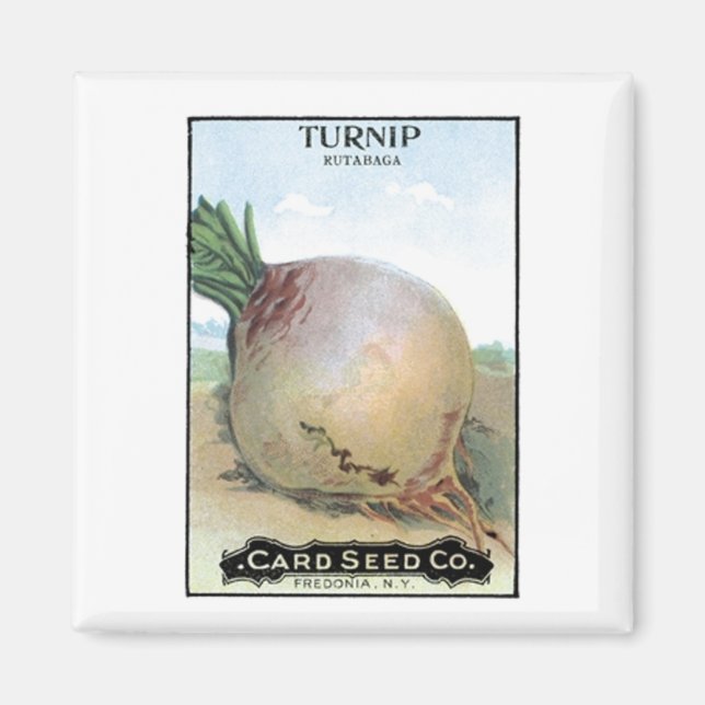 Turnip, Card Seed Company Magnet (Front)
