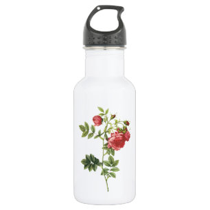 turnip rose(Rosa rapa) by Redouté 532 Ml Water Bottle
