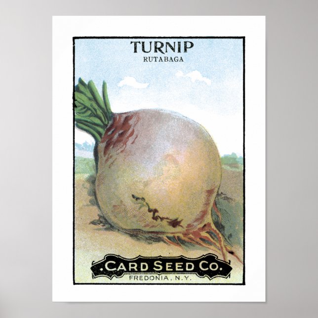 Turnip Vintage Seed Packet Poster (Front)