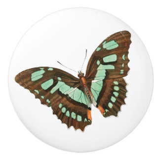 Turquoise and Brown Butterfly Ceramic Knob