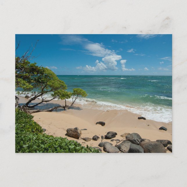 Turquoise Beach Postcard (Front)