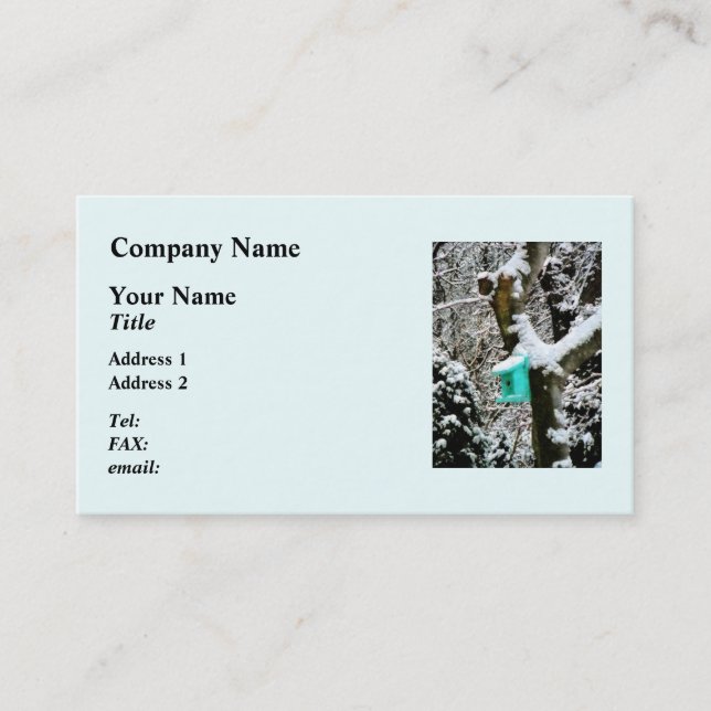 Turquoise Birdhouse in Winter Business Card (Front)