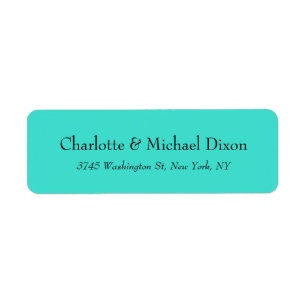 Turquoise Blue Classic Stylish Elegant Family Name