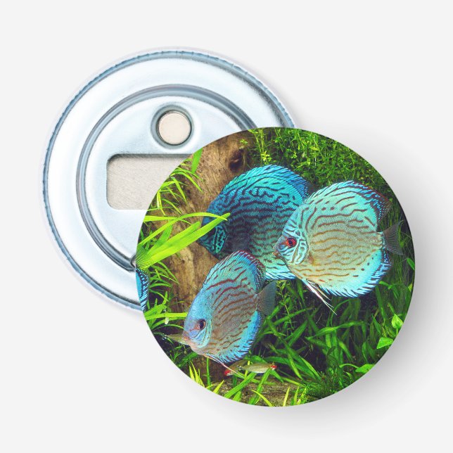 Turquoise Blue Discus Bottle Opener (Front)
