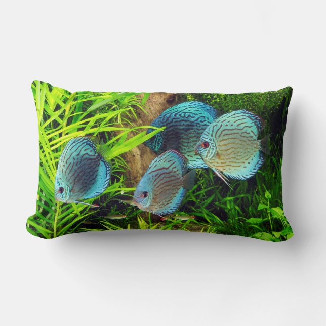 Turquoise Blue Discus Lumbar Cushion (Front)