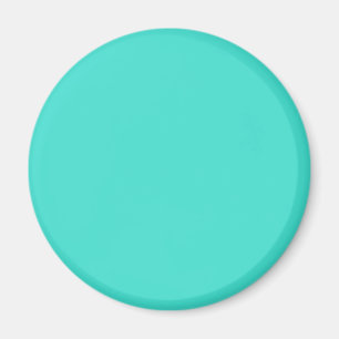 Turquoise Blue Green 40E0D0 - Option to Add Name Magnet