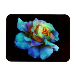 Turquoise Blue Tie Dyed Rainbow Rose Magnet