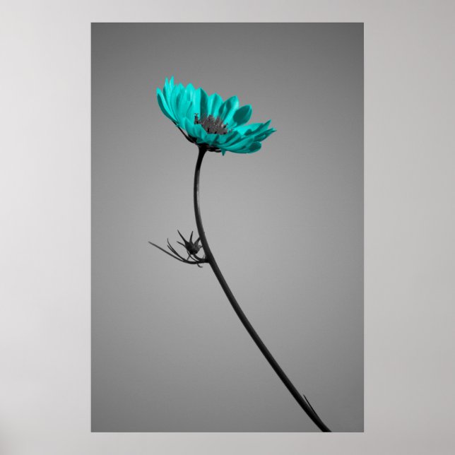 turquoise flower poster (Front)