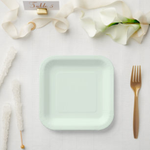 Turquoise Green Soft Pale White Pastel Solid Colou Paper Plate