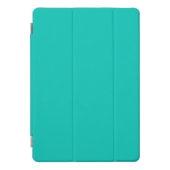 Turquoise iPad Pro Cover (Front)
