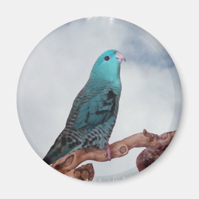 Turquoise linnie magnet (Front)