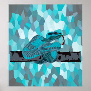 Turquoise Low Ply Pit viper Snake  Poster