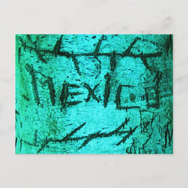 Turquoise "Mexico" Carved Tree Graffiti Postcard (Front)