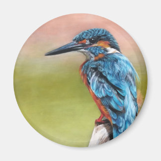 Turquoise Morning Kingfisher Bird Magnet