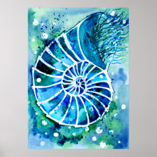Turquoise Nautilus Poster