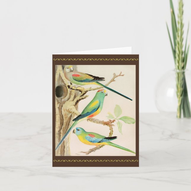 Turquoise Parakeet Card (Front)