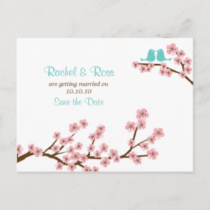 Turquoise & Pink Cherry Blossom Save the Date Announcement Postcard