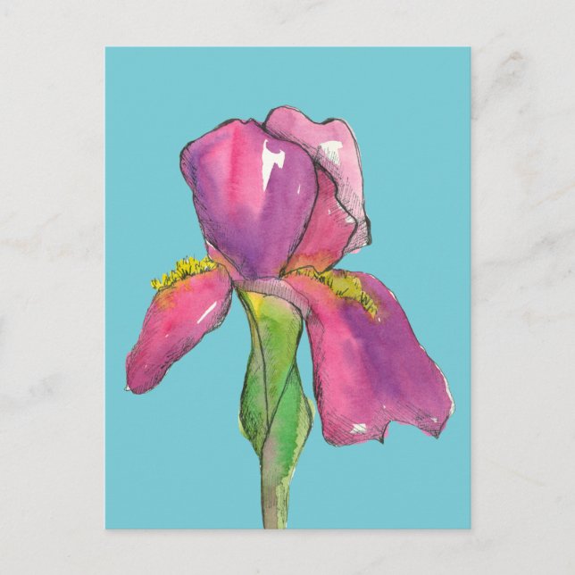 Turquoise Pink Iris Flower Postcard (Front)