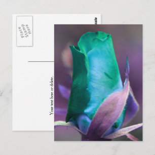 Turquoise Rosebud Flower Personalised Postcard