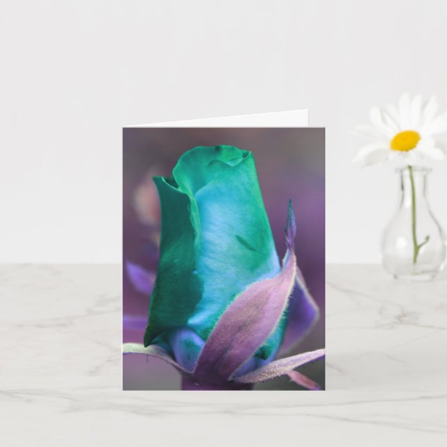 Turquoise Rosebud Flower Photography Note Card (Small Plant)