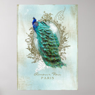 Turquoise Shabby Peacock - Poster
